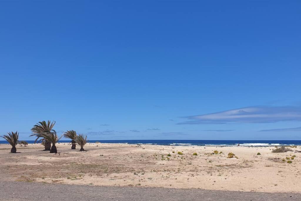 Ola Cotillo! Y Sentir El Mar Desde Casa