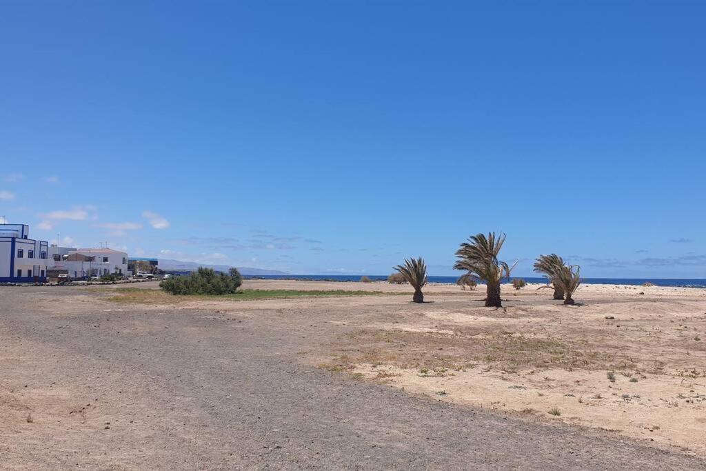 Ola Cotillo! Y Sentir El Mar Desde Casa